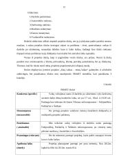 Projektas. Vaikų vežiojimas iš darželio po užsiėmimų namo. 13 puslapis