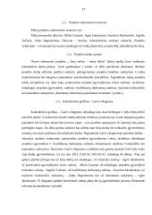 Projektas. Vaikų vežiojimas iš darželio po užsiėmimų namo. 14 puslapis
