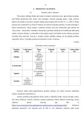 Projektas. Vaikų vežiojimas iš darželio po užsiėmimų namo. 16 puslapis