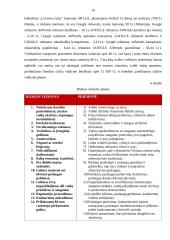 Projektas. Vaikų vežiojimas iš darželio po užsiėmimų namo. 17 puslapis