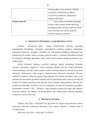 Projektas. Vaikų vežiojimas iš darželio po užsiėmimų namo. 19 puslapis