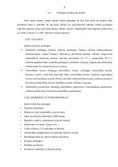 Projektas. Vaikų vežiojimas iš darželio po užsiėmimų namo. 9 puslapis