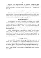 Projektas. Vaikų vežiojimas iš darželio po užsiėmimų namo. 10 puslapis