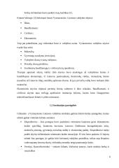 Vyriausioji Lietuvos valdyba – karinės okupacijos įdiegimas Lietuvoje (1795 – 1801m.) 6 puslapis