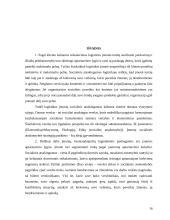 Socialinis atsakingumas logistikoje 17 puslapis