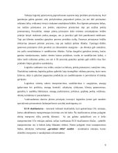 Socialinis atsakingumas logistikoje 9 puslapis