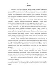 Investicijos ir jų finansavimas 2 puslapis