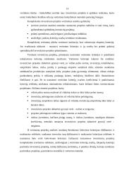 Investicijos ir jų finansavimas 12 puslapis