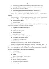 Investicijos ir jų finansavimas 17 puslapis