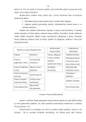 Investicijos ir jų finansavimas 19 puslapis