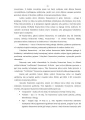 Investicijos ir jų finansavimas 20 puslapis