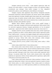 Investicijos ir jų finansavimas 6 puslapis