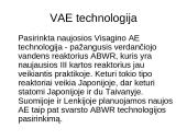 Visagino atominė elektrinė 5 puslapis