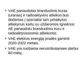 Visagino atominė elektrinė 8 puslapis