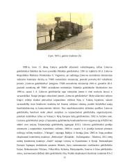 Geležinkelių transportas Lietuvoje 10 puslapis