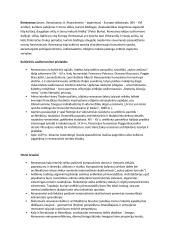 Renesanso dailė pranešimas 2 puslapis