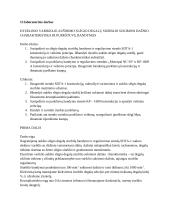 VDV laboratoriniai 4 puslapis