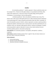 AB „Kaišiadorių paukštynas“ įmonės analizė 2 puslapis