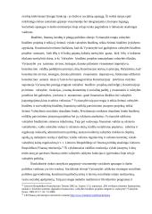 LR Vyriausybės kompetencija 13 puslapis