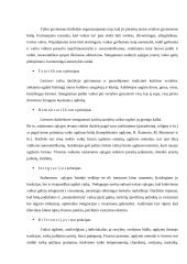 Darželinukų fizinio ugdymo ypatumai 7 puslapis