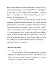 Darželinukų fizinio ugdymo ypatumai 9 puslapis