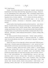 Spektroskopas 3 puslapis