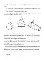 Spektroskopas 4 puslapis