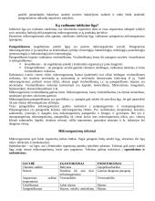 Konspektas mikrobiologijai 5 puslapis