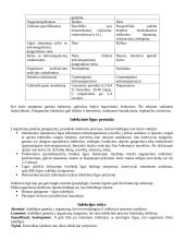 Konspektas mikrobiologijai 6 puslapis