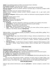 Konspektas mikrobiologijai 7 puslapis