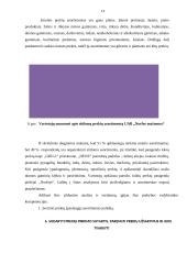 UAB ,,Norfos mažmena” praktikos ataskaita 14 puslapis