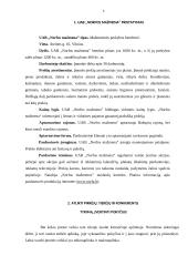 UAB ,,Norfos mažmena” praktikos ataskaita 5 puslapis