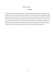 Transporto įmonės „UAB  TransDea" veiklos organizavimo projektas 2 puslapis