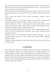 Transporto įmonės „UAB  TransDea" veiklos organizavimo projektas 11 puslapis