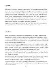 Transporto įmonės „UAB  TransDea" veiklos organizavimo projektas 12 puslapis