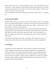 Transporto įmonės „UAB  TransDea" veiklos organizavimo projektas 13 puslapis