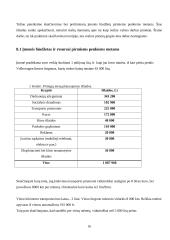 Transporto įmonės „UAB  TransDea" veiklos organizavimo projektas 16 puslapis