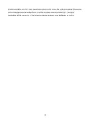 Transporto įmonės „UAB  TransDea" veiklos organizavimo projektas 18 puslapis