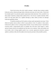 Transporto įmonės „UAB  TransDea" veiklos organizavimo projektas 19 puslapis