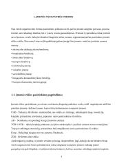 Transporto įmonės „UAB  TransDea" veiklos organizavimo projektas 3 puslapis