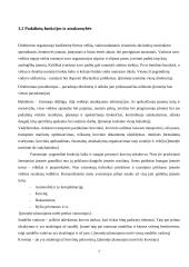 Transporto įmonės „UAB  TransDea" veiklos organizavimo projektas 7 puslapis