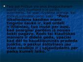 Pričkaus paveikslas 7 puslapis