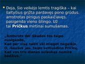 Pričkaus paveikslas 9 puslapis