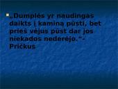 Pričkaus paveikslas 10 puslapis