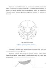 Apšvietimo ir signalizacijos elementai. Žibintų reguliavimo stendas 13 puslapis