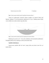 Apšvietimo ir signalizacijos elementai. Žibintų reguliavimo stendas 14 puslapis