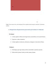 Apšvietimo ir signalizacijos elementai. Žibintų reguliavimo stendas 17 puslapis