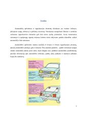 Apšvietimo ir signalizacijos elementai. Žibintų reguliavimo stendas 3 puslapis