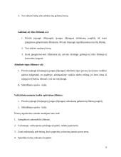 Apšvietimo ir signalizacijos elementai. Žibintų reguliavimo stendas 7 puslapis