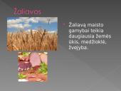 Maisto produktų gamyba 6 puslapis